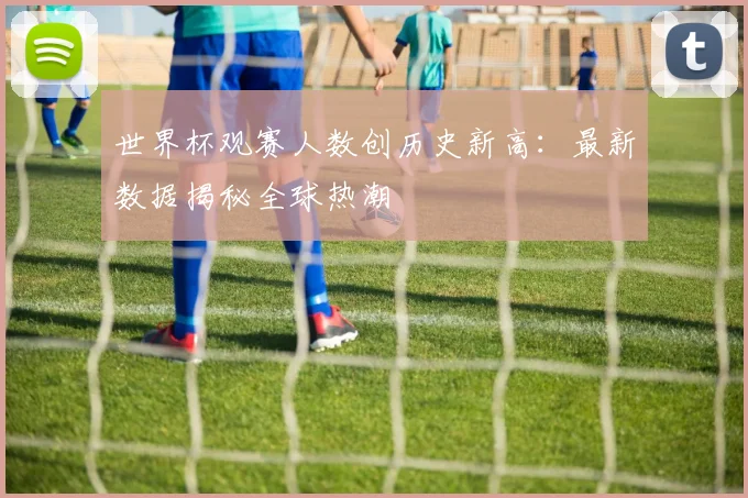 世界杯观赛人数创历史新高：最新数据揭秘全球热潮