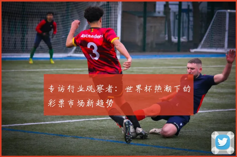专访行业观察者：世界杯热潮下的彩票市场新趋势