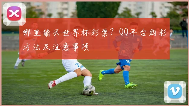 哪里能买世界杯彩票？QQ平台购彩方法及注意事项