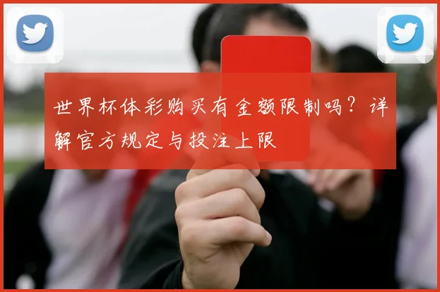 世界杯体彩购买有金额限制吗？详解官方规定与投注上限