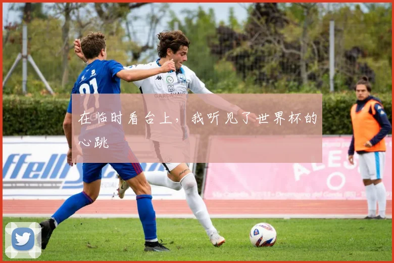 在临时看台上，我听见了世界杯的心跳