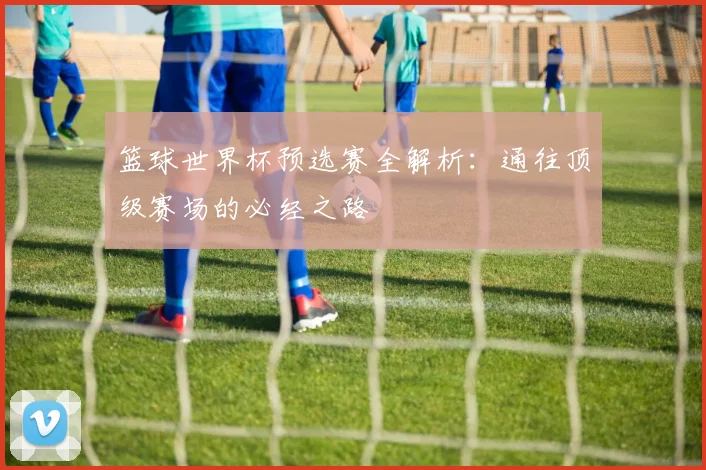 篮球世界杯预选赛全解析：通往顶级赛场的必经之路
